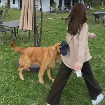 婚礼专家
